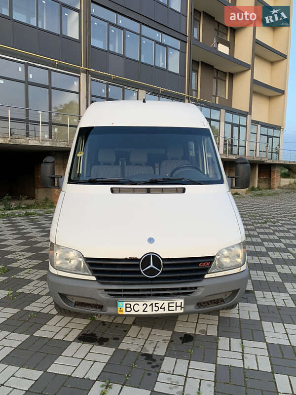 Вантажопасажирський фургон Mercedes-Benz Sprinter 2001 в Буську