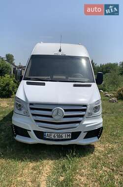 Мікроавтобус Mercedes-Benz Sprinter 2014 в Кам'янському