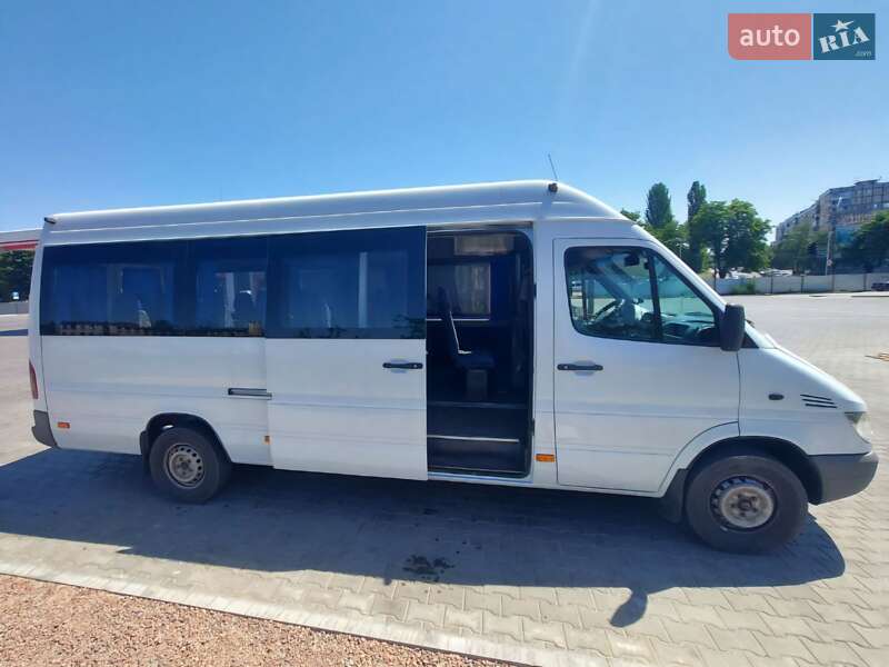 Другие автобусы Mercedes-Benz Sprinter 2006 в Кривом Роге