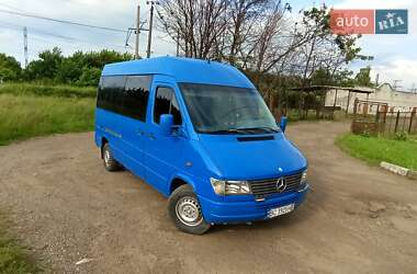 Микроавтобус Mercedes-Benz Sprinter 2000 в 