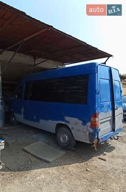 Микроавтобус Mercedes-Benz Sprinter 2000 в 