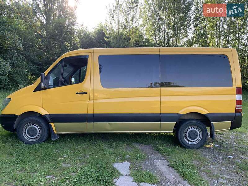 Мікроавтобус Mercedes-Benz Sprinter 2006 в Тячеві