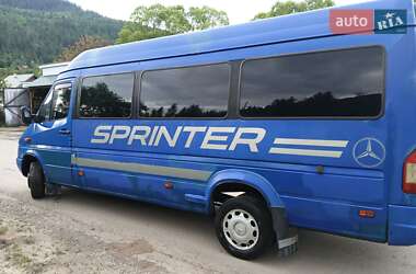 Микроавтобус Mercedes-Benz Sprinter 2001 в 