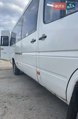 Микроавтобус Mercedes-Benz Sprinter 2000 в 
