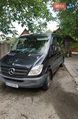 Вантажопасажирський фургон Mercedes-Benz Sprinter 2012 в Олександрії