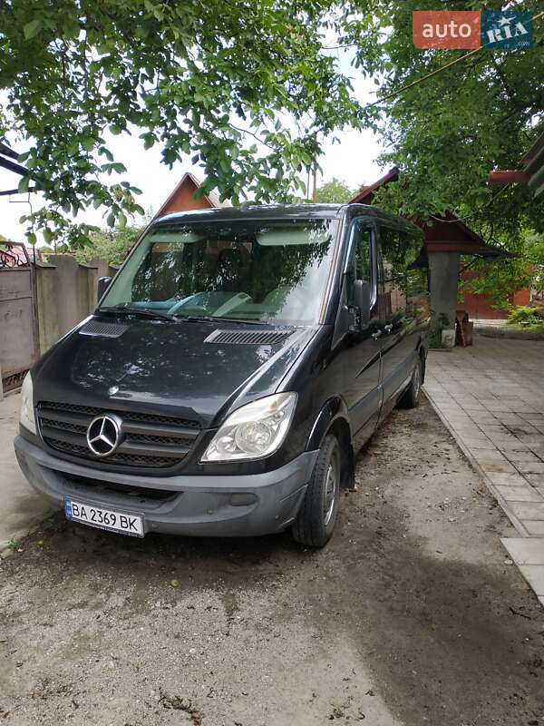 Грузопассажирский фургон Mercedes-Benz Sprinter 2012 в 