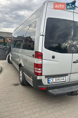 Мікроавтобус Mercedes-Benz Sprinter 2009 в Вижниці