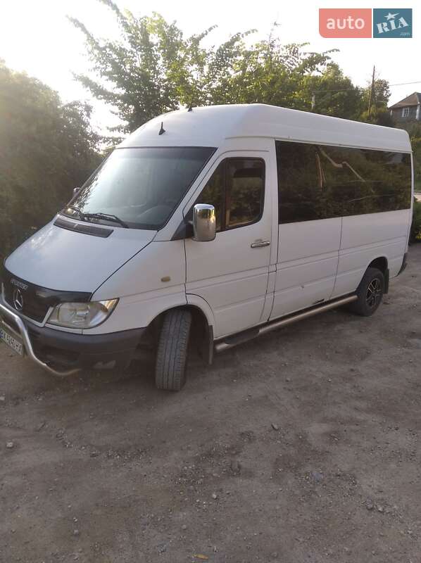 Микроавтобус Mercedes-Benz Sprinter 2003 в Городке