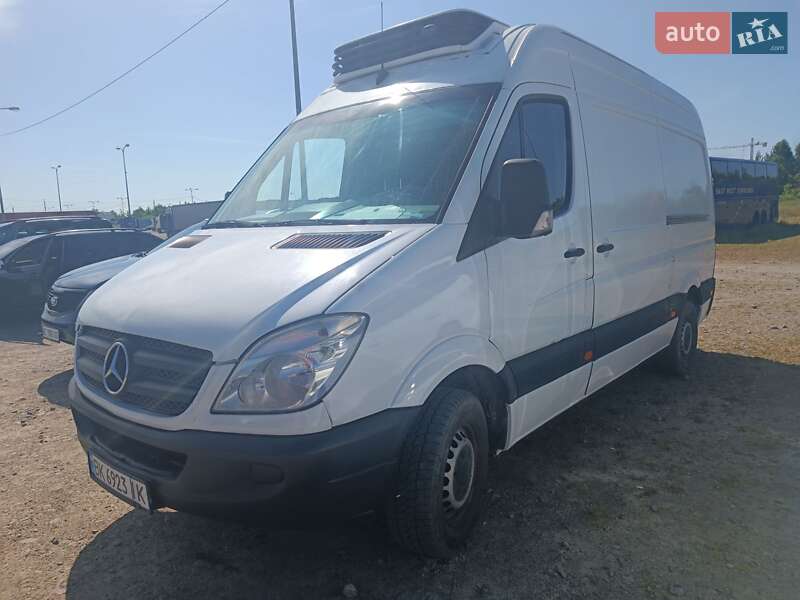 Другие грузовики Mercedes-Benz Sprinter 2010 в Львове