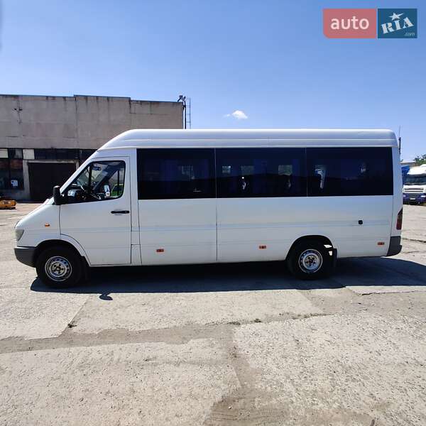 Микроавтобус Mercedes-Benz Sprinter 1999 в Николаеве