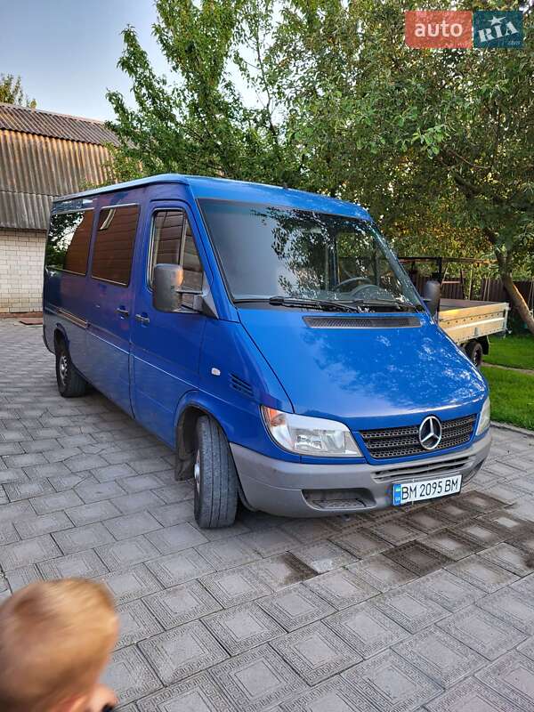Микроавтобус Mercedes-Benz Sprinter 2006 в Сумах
