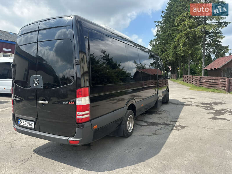 Туристический / Междугородний автобус Mercedes-Benz Sprinter 2010 в Березному