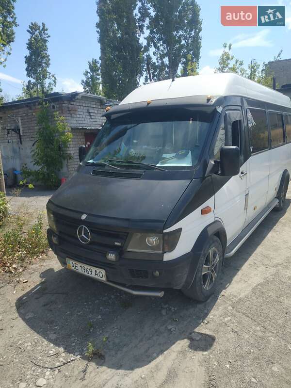 Микроавтобус Mercedes-Benz Sprinter 1996 в Днепре