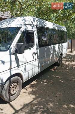 Мікроавтобус Mercedes-Benz Sprinter 2000 в Хусті