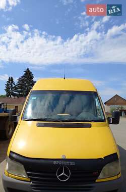 Микроавтобус Mercedes-Benz Sprinter 2001 в Теофиполе