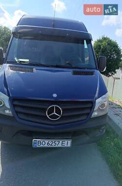 Вантажний фургон Mercedes-Benz Sprinter 2014 в Підволочиську
