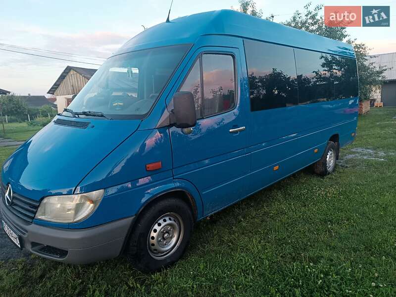 Микроавтобус Mercedes-Benz Sprinter 2000 в Любешове