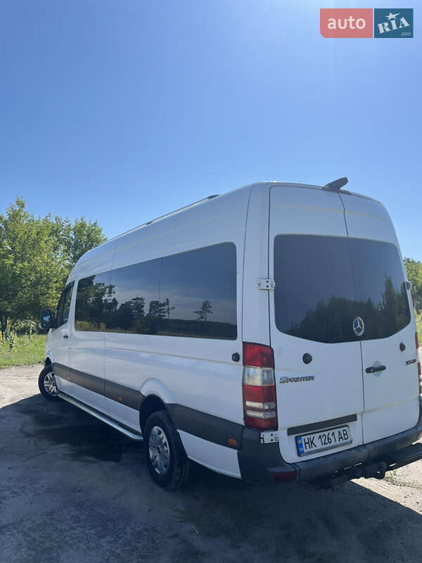 Микроавтобус Mercedes-Benz Sprinter 2010 в Березному