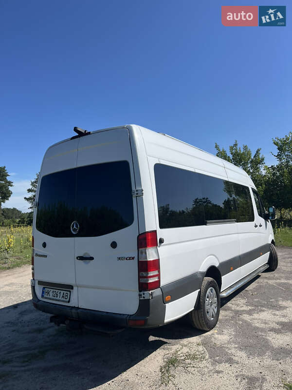 Микроавтобус Mercedes-Benz Sprinter 2010 в Березному