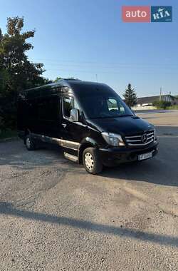Микроавтобус Mercedes-Benz Sprinter 2014 в Городенке