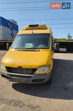Грузопассажирский фургон Mercedes-Benz Sprinter 2005 в Кривом Роге
