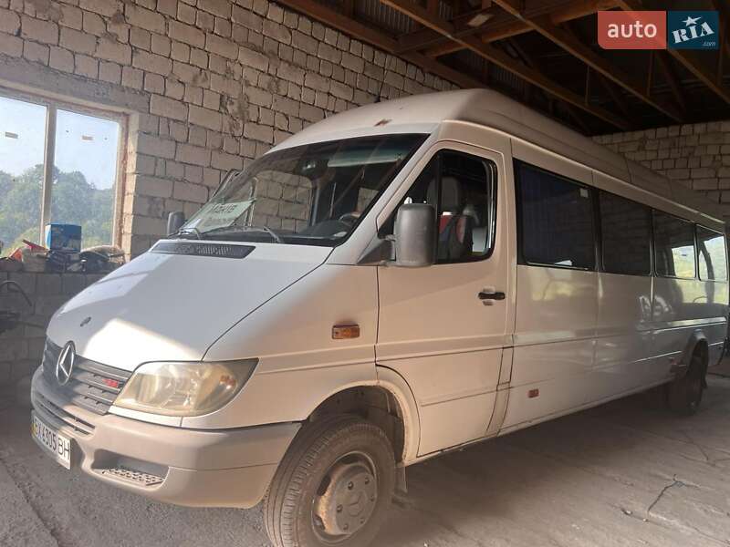 Інші автобуси Mercedes-Benz Sprinter 2003 в Кам'янець-Подільському