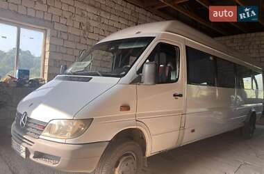 Другие автобусы Mercedes-Benz Sprinter 2003 в 