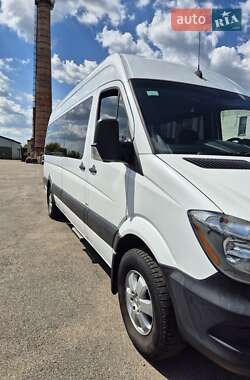 Микроавтобус Mercedes-Benz Sprinter 2014 в Киеве