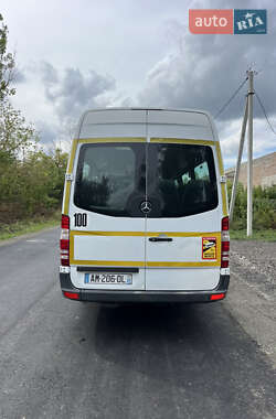 Пригородный автобус Mercedes-Benz Sprinter 2009 в 