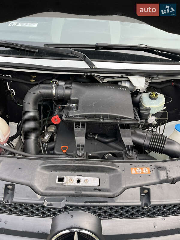 Пригородный автобус Mercedes-Benz Sprinter 2009 в Ковеле