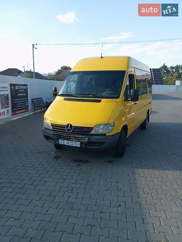Грузопассажирский фургон Mercedes-Benz Sprinter 2004 в 