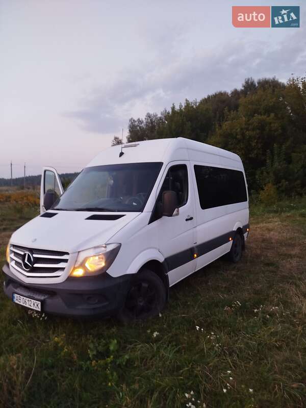 Микроавтобус Mercedes-Benz Sprinter 2013 в Калиновке