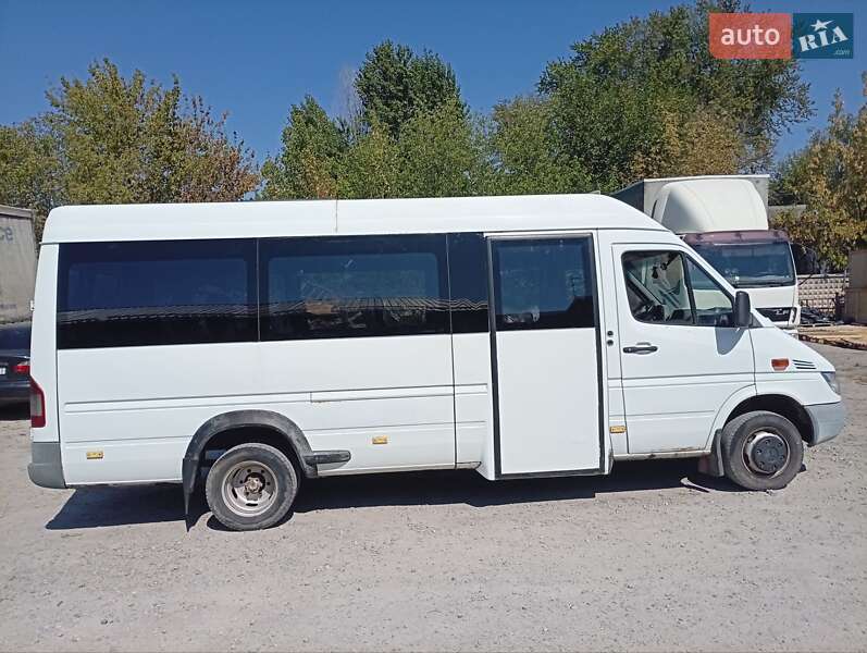 Мікроавтобус Mercedes-Benz Sprinter 2004 в Дніпрі