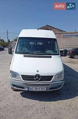 Микроавтобус Mercedes-Benz Sprinter 2004 в Днепре