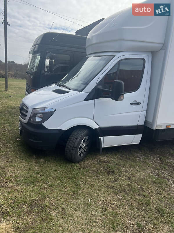 Вантажний фургон Mercedes-Benz Sprinter 2014 в Шипинцях