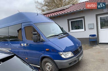 Микроавтобус Mercedes-Benz Sprinter 2006 в 