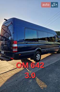 Микроавтобус Mercedes-Benz Sprinter 2009 в Тячеве