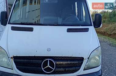 Микроавтобус Mercedes-Benz Sprinter 2009 в Ивано-Франковске