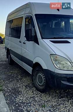 Микроавтобус Mercedes-Benz Sprinter 2009 в Ивано-Франковске