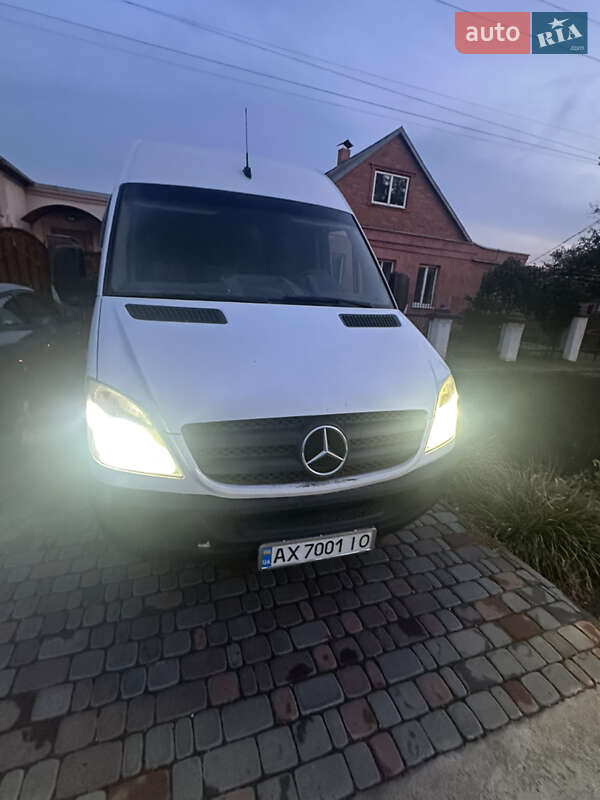 Грузовой фургон Mercedes-Benz Sprinter 2009 в Кривом Роге