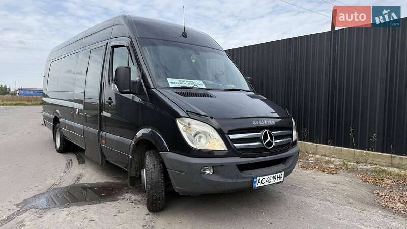 Микроавтобус Mercedes-Benz Sprinter 2010 в Березному