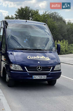 Туристичний / Міжміський автобус Mercedes-Benz Sprinter 2006 в Вінниці