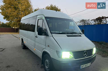 Інші автобуси Mercedes-Benz Sprinter 1998 в Запоріжжі