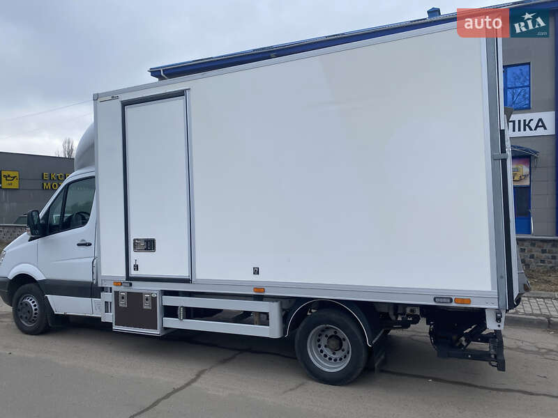 Інші вантажівки Mercedes-Benz Sprinter 2011 в Житомирі