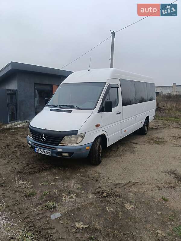 Мікроавтобус Mercedes-Benz Sprinter 2001 в Бородянці