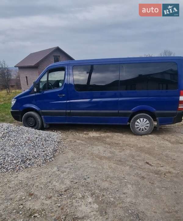 Минивэн Mercedes-Benz Sprinter 2009 в Коломые