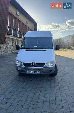 Вантажний фургон Mercedes-Benz Sprinter 2004 в Делятині