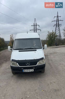 Мінівен Mercedes-Benz Sprinter 2005 в Тернополі