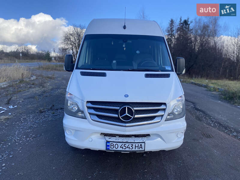 Мікроавтобус Mercedes-Benz Sprinter 2014 в Кременці