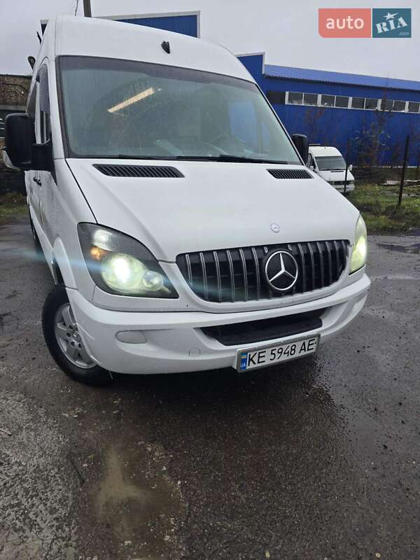 Микроавтобус Mercedes-Benz Sprinter 2007 в Кривом Роге